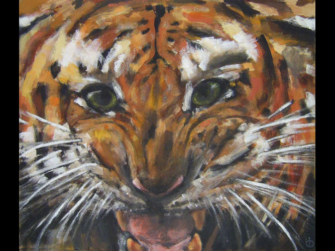 Dorota Brodowska - Psy, koty i inne - 12 / 23 - Tygrys to tygrys